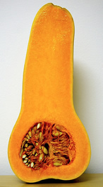 Butternut